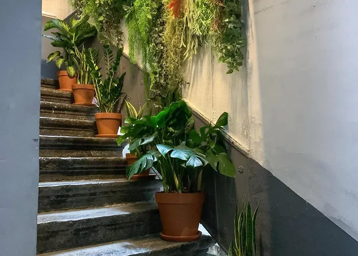 Serendipity